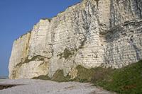 Cjp_2010_04_14_154452 (1).jpg